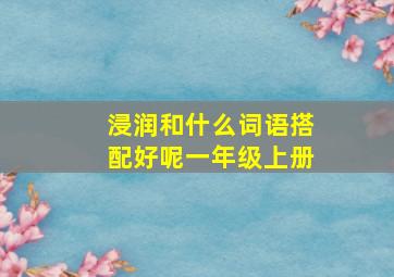 浸润和什么词语搭配好呢一年级上册