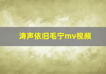 涛声依旧毛宁mv视频