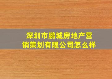 深圳市鹏城房地产营销策划有限公司怎么样