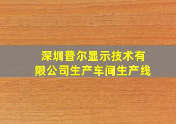 深圳普尔显示技术有限公司生产车间生产线