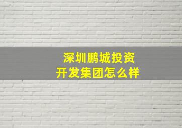 深圳鹏城投资开发集团怎么样