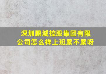 深圳鹏城控股集团有限公司怎么样上班累不累呀