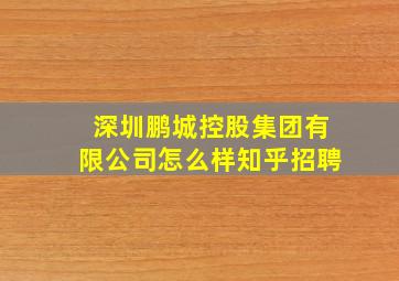 深圳鹏城控股集团有限公司怎么样知乎招聘