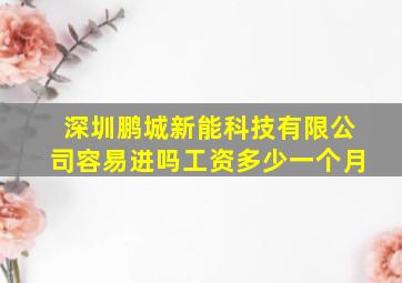 深圳鹏城新能科技有限公司容易进吗工资多少一个月