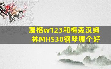 温格w123和梅森汉姆林MHS30钢琴哪个好