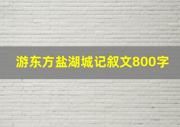 游东方盐湖城记叙文800字