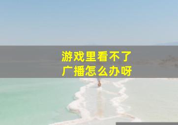 游戏里看不了广播怎么办呀