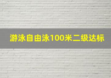 游泳自由泳100米二级达标