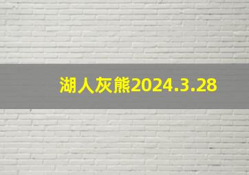 湖人灰熊2024.3.28