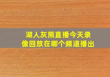 湖人灰熊直播今天录像回放在哪个频道播出