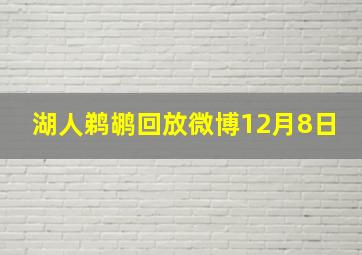 湖人鹈鹕回放微博12月8日