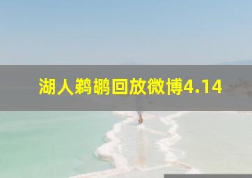 湖人鹈鹕回放微博4.14