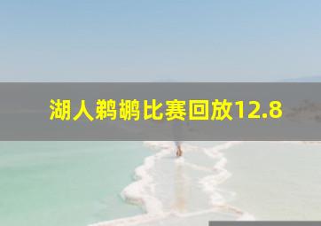 湖人鹈鹕比赛回放12.8