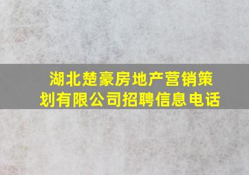 湖北楚豪房地产营销策划有限公司招聘信息电话