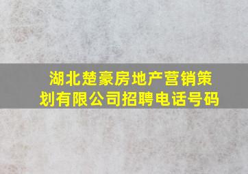 湖北楚豪房地产营销策划有限公司招聘电话号码