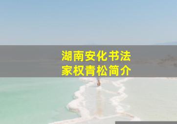 湖南安化书法家权青松简介