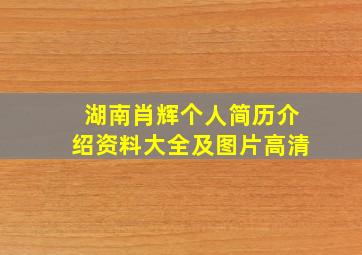 湖南肖辉个人简历介绍资料大全及图片高清