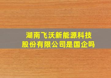 湖南飞沃新能源科技股份有限公司是国企吗