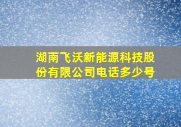 湖南飞沃新能源科技股份有限公司电话多少号