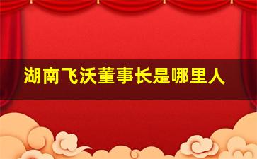 湖南飞沃董事长是哪里人