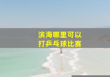 滨海哪里可以打乒乓球比赛