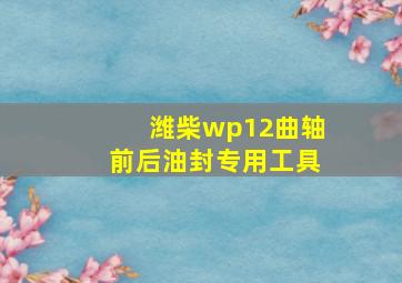 潍柴wp12曲轴前后油封专用工具