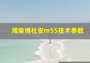 潍柴博杜安m55技术参数