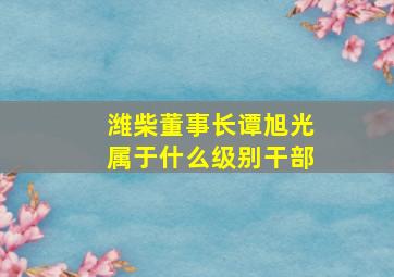 潍柴董事长谭旭光属于什么级别干部