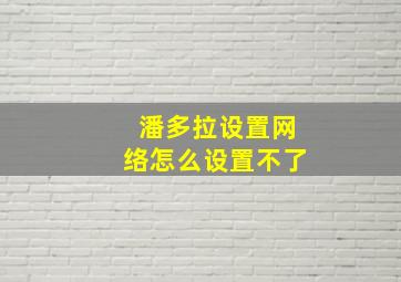 潘多拉设置网络怎么设置不了