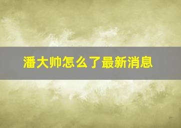 潘大帅怎么了最新消息