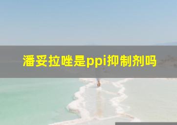 潘妥拉唑是ppi抑制剂吗