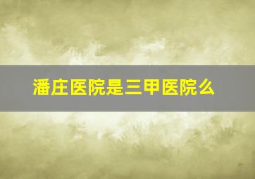 潘庄医院是三甲医院么