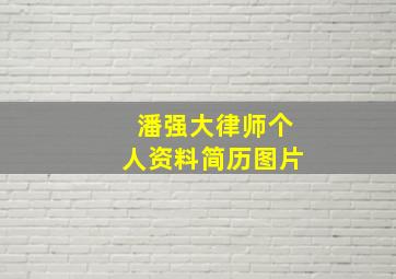 潘强大律师个人资料简历图片