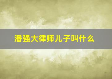 潘强大律师儿子叫什么