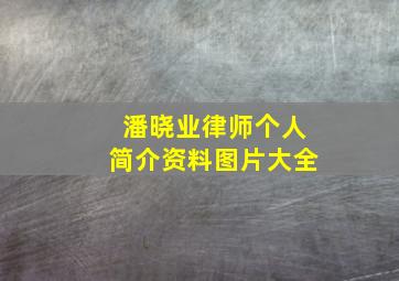 潘晓业律师个人简介资料图片大全