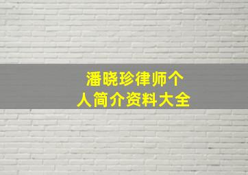 潘晓珍律师个人简介资料大全