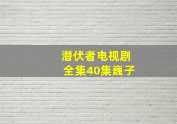 潜伏者电视剧全集40集巍子