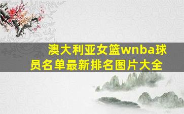 澳大利亚女篮wnba球员名单最新排名图片大全