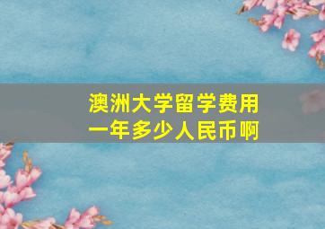 澳洲大学留学费用一年多少人民币啊