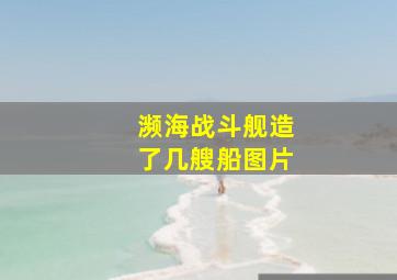 濒海战斗舰造了几艘船图片