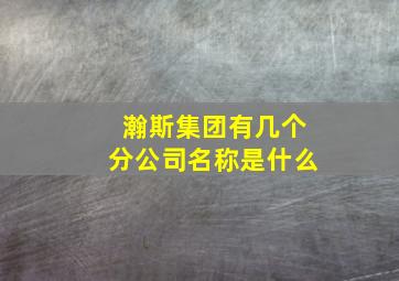 瀚斯集团有几个分公司名称是什么