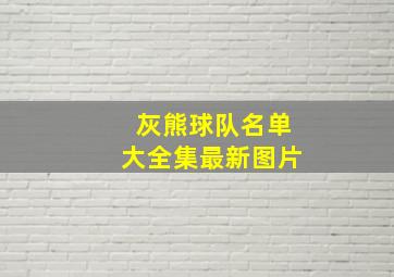 灰熊球队名单大全集最新图片