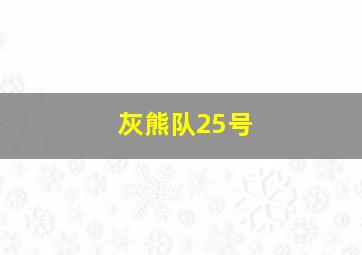 灰熊队25号