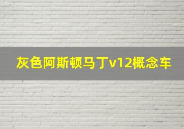 灰色阿斯顿马丁v12概念车