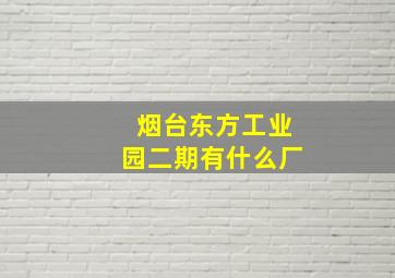 烟台东方工业园二期有什么厂