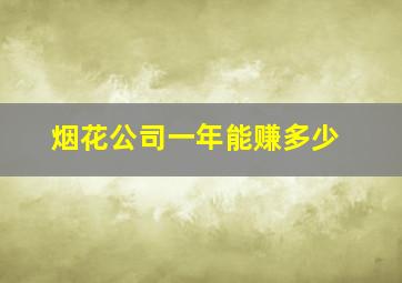 烟花公司一年能赚多少