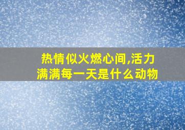 热情似火燃心间,活力满满每一天是什么动物