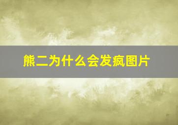 熊二为什么会发疯图片