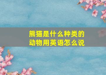 熊猫是什么种类的动物用英语怎么说