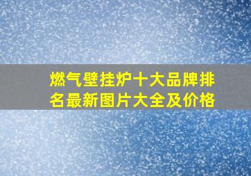 燃气壁挂炉十大品牌排名最新图片大全及价格